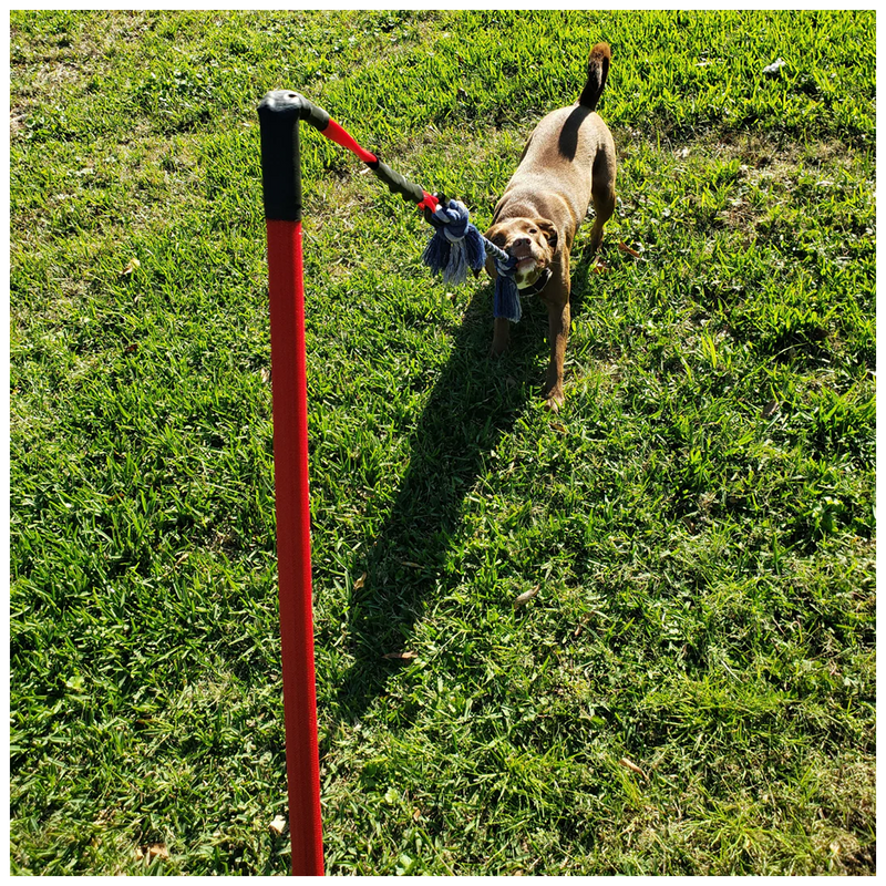 ActiCan® / Jueguete de Halar Para Perros FLIRT POLE