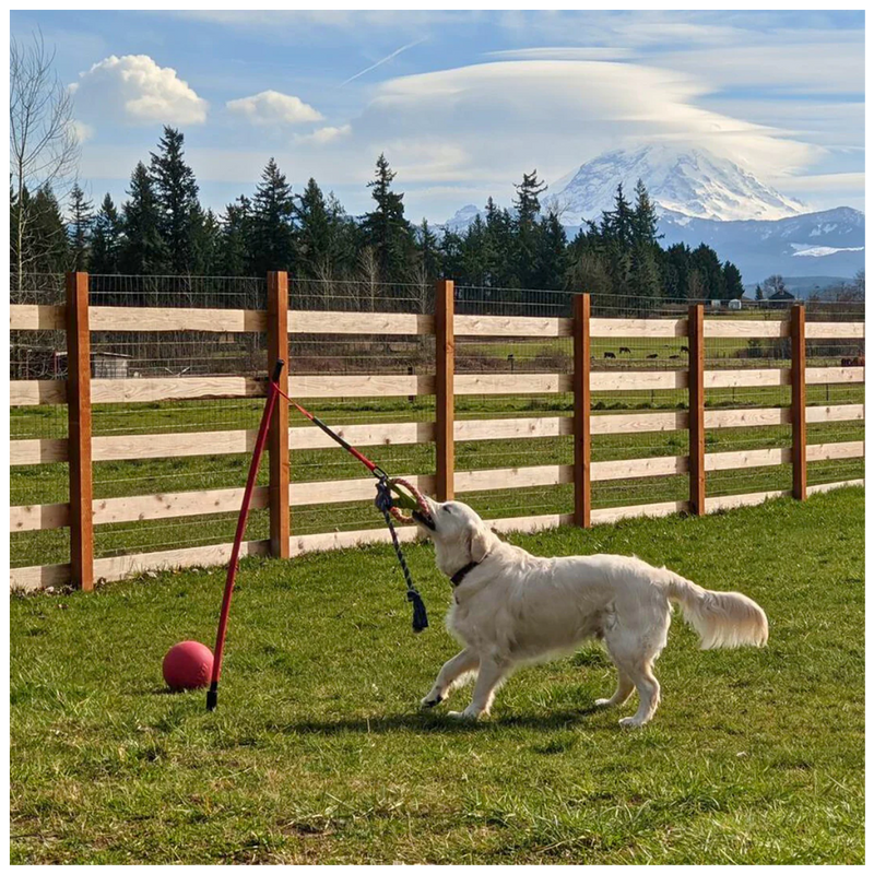 ActiCan® / Jueguete de Halar Para Perros FLIRT POLE